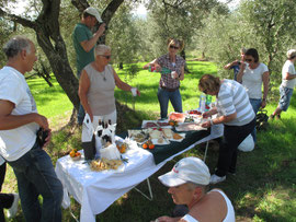 2013  Toskana  Vinci _ Malen und Picknick im Olivenhain