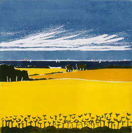 Rapsküste  (30x30)