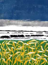 Hetlingen  (30x40)