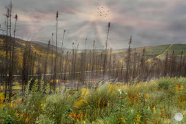 Bild: oil pipeline along Dalton Highway, Alaska, "mystic light along the way"; www.2u-pictureworld.de