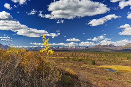 Bild: Denali Hwy, Alaska, "schau ins Land"; www.2u-picturworld.de