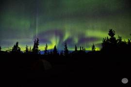 Bild: aurora borealis in the Denali Nationalpark at the end of August, Alaska, "ghostly sleepness night"; www.2u-pictureworld.de