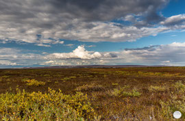 Bild: Dalton Highway, Alaska, "northern tundra"; www.2u-pictureworld.de