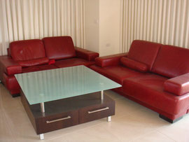 Salon en cuir