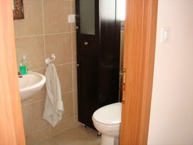 Salle de bain douche attenante