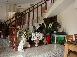 sous l'escalier, aquarium