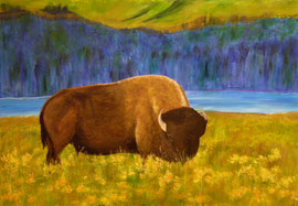 Bison auf der Weide, 60x80xcm, verkauft