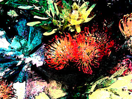 Blumen, abstrakt