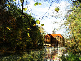 Regnitz mit Künstlervilla Concordia