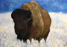 Bison im gefrorenen Gras, 60x80cm, verkauft