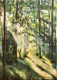 Sonnendurchfluteter Wald, 60 x 80 cm, verkauft