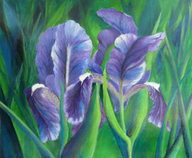 Iris, 50x60cm, Ölgemälde