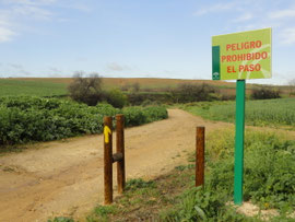 Am Rio Guadaira