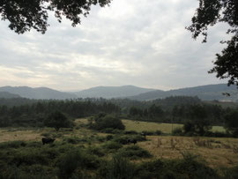 Estrada