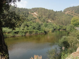 Rio Nansa vor Pesués