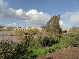 Badajoz - Puente de Palmas