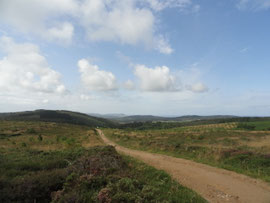 Morquintan