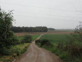 Auf  dem Weg von Utrera nach Alcala
