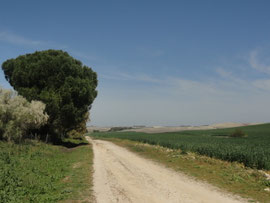 Hinter Cuadrejon