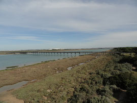 Puerto Real - 
