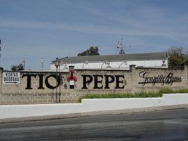 Jerez de la Frontera - Bodega Tio Pepe