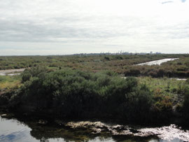 Bahía de Cadiz