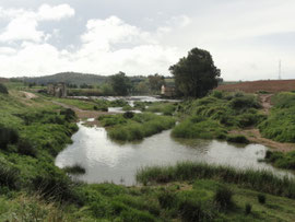 Am Rio Guadaira