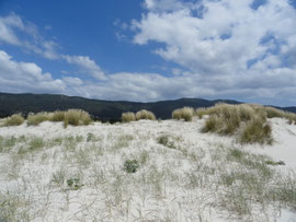 Praia de Carnota