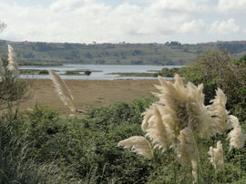 Cudón