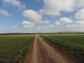 Zwischen Antequera und Cartaojal