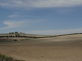 Hinter Cuadrejon