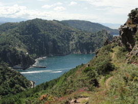 Pasai Donibane
