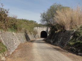 Cabra - Via Verde Túnel de Plantío