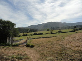 La Espasa
