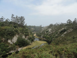 Rio Puron