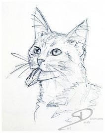 Sarah Esslinger-Dahlmann, Schnellskizze (quick sketch)