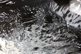 変わる？水