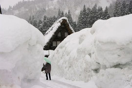 豪雪