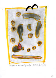 “Entflohener, verletzter Gedanke” /  WVZ 3.210 / datiert 23.10.00 / Filzstift, Verletzung und Bleistift auf Papier / Maße b 21,0 cm * h 29,7 cm