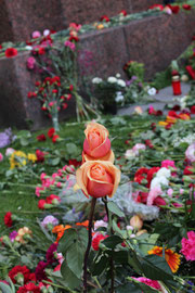 Rasen bedeckt mit nieder gelegten Blumen am 9. Mai. Sowjetisches Ehrenmal Berlin. Foto: Helga Karl