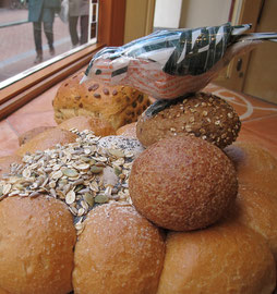 Bird Feeding Display