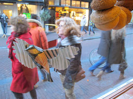 Bird Feeding Display