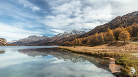 Lago di Sils
