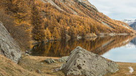 Lago di Sils