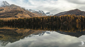 Lago di Sils