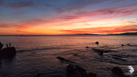 Camogli (GE)