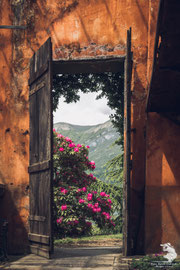 Il Paradiso...... è appena li fuori.