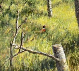 - Berken in het zonnige gras, detail
