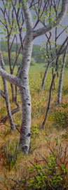 Berken, voorjaar, 5, o/a/p, 44x122cm