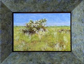 º Bloeiende meidoornstruik, a/p, 15x10cm